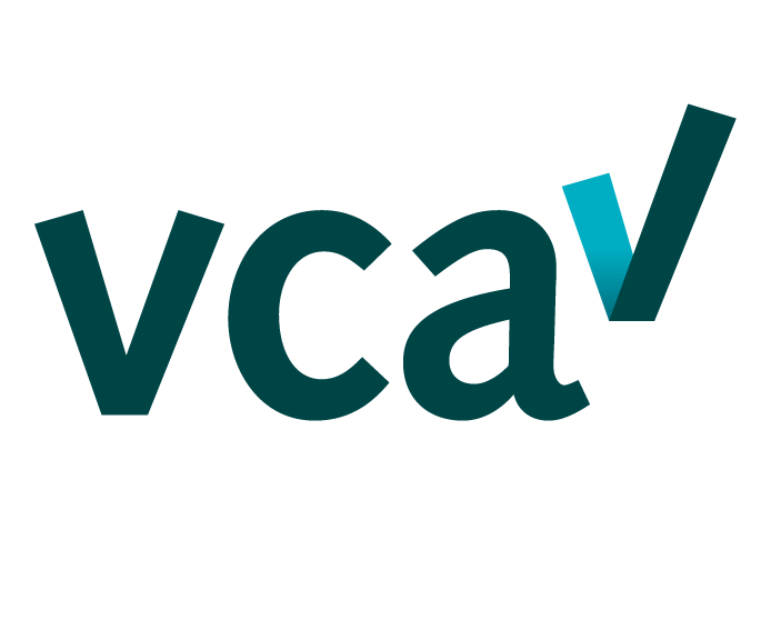 VCA_logo_1000x569px_RGB_2.0-e1624629587295.png